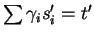 $\sum \gamma_i s_i^\prime = t^\prime$